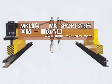 产品名称十九