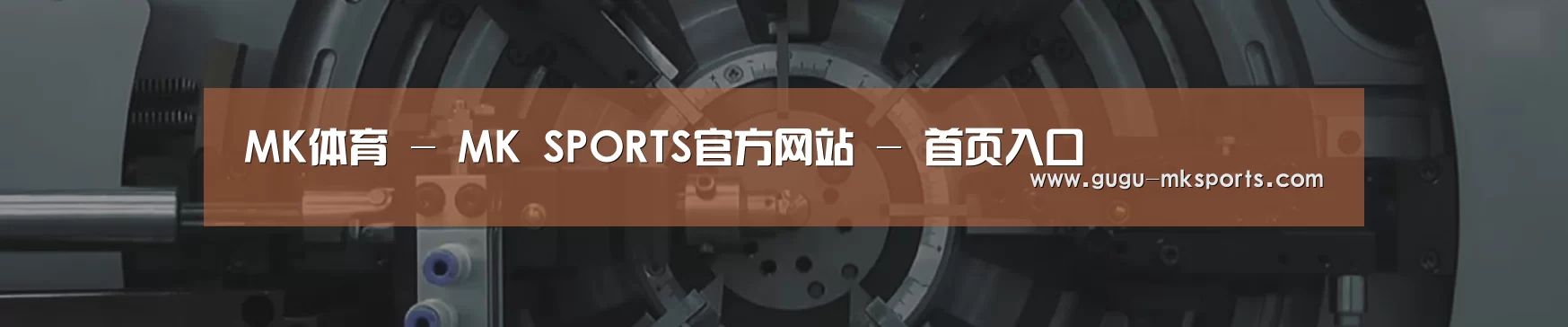 某某机械公司