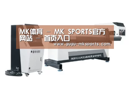 案例展示四