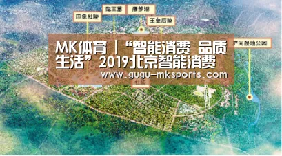 MK体育 