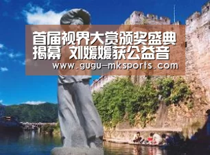 首届视界大赏颁奖盛典揭幕 刘媛媛获公益音乐大奖‘MK体育 ’(图2) 首页入口
