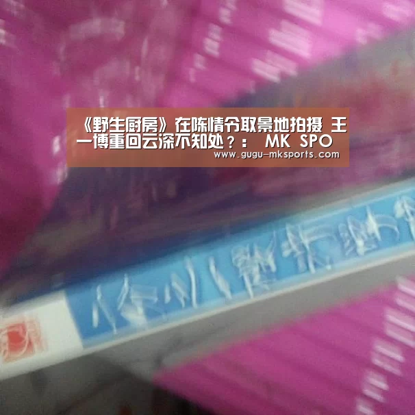 《野生厨房》在陈情令取景地拍摄 王一博重回云深不知处？： MK SPORTS官方