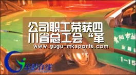 
公司职工荣获四川省总工会“革新创新当先锋 提质增效保增长”技术创新结果和合理化