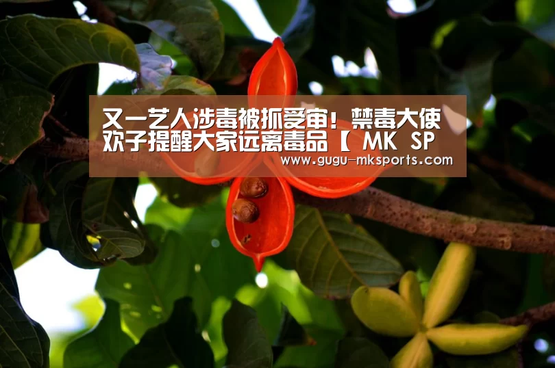 又一艺人涉毒被抓受审!禁毒大使欢子提醒大家远离毒品【 MK SPORTS官方网站 】(图3) MK SPORTS官方网站
