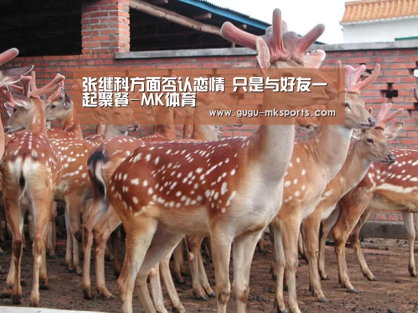 张继科方面否认恋情 只是与好友一起聚餐-MK体育 (图2) 首页入口