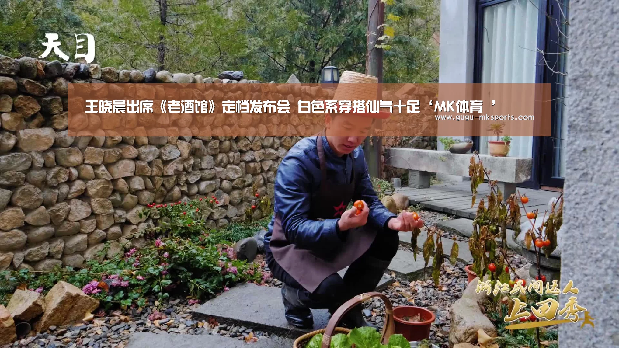 MK体育 