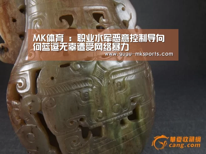 MK体育 ：职业水军恶意控制导向  何蓝