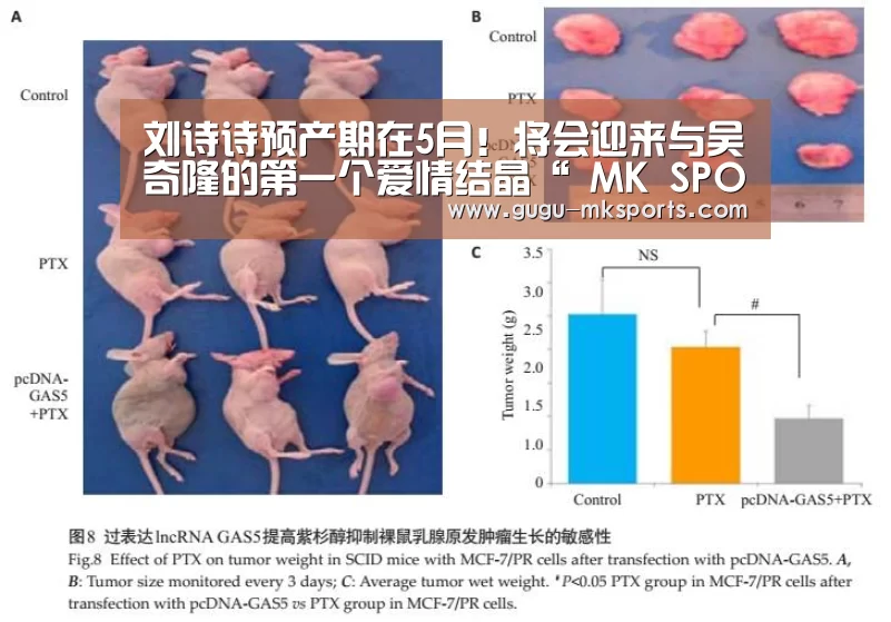 刘诗诗预产期在5月！将会迎来与吴奇隆的第
