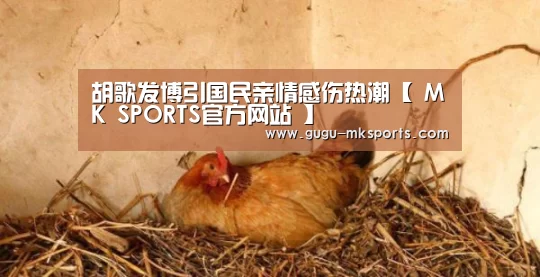 胡歌发博引国民亲情感伤热潮【 MK SP